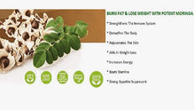 Load image into Gallery viewer, Moringa Seeds