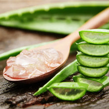 Load image into Gallery viewer, Aloe Vera Skin Lotion