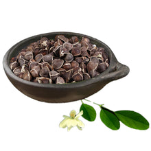 Load image into Gallery viewer, Moringa Seeds