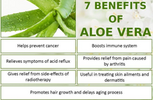 Load image into Gallery viewer, Aloe Vera Hair gel
